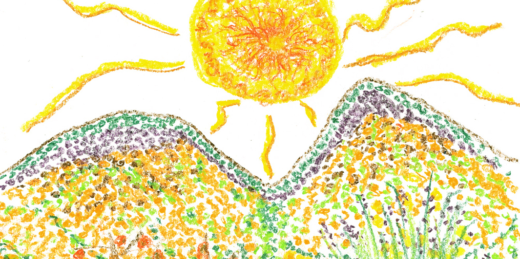 colored sunset yellow green purple