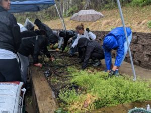 volunteers hard at work in the garden in of mercy housing property Mercy Place Belmont