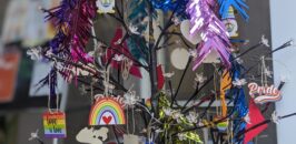 PRIDE Community Tree